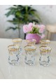 Glass Tea Dishes Set, 6 Pieces, Transparent, Gilded from Damlag-41806