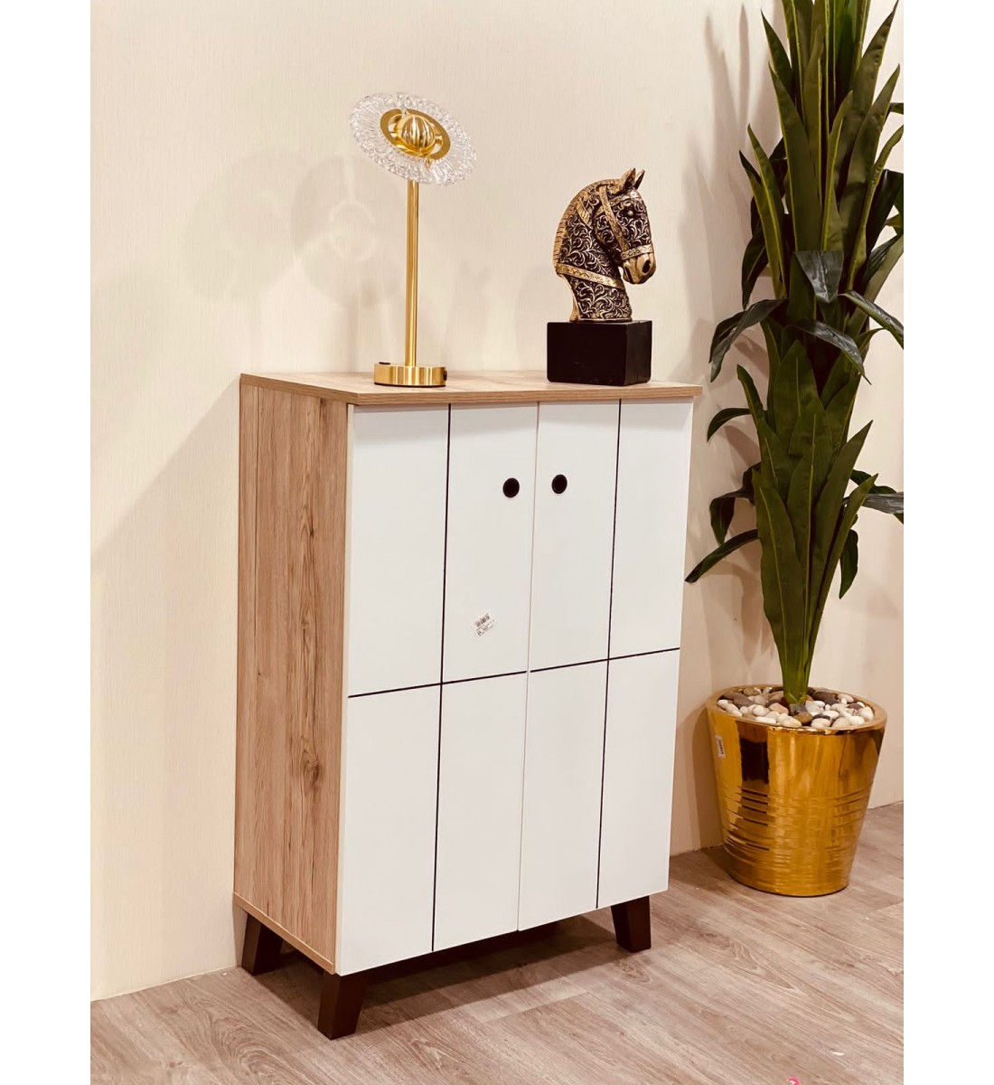 Wooden shoe cabinet with 2 doors, white  