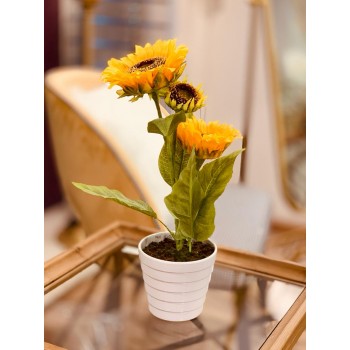 مركن زهرة دوار الشمس 47 سم 