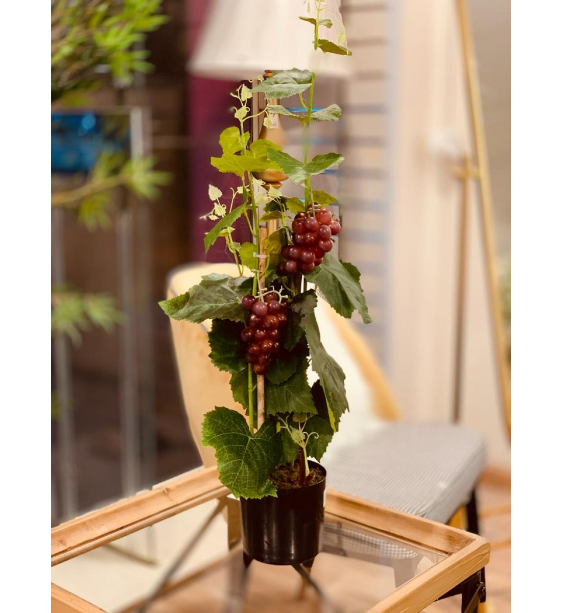  شجرة تزين عنب ارتفاع 74  سم 