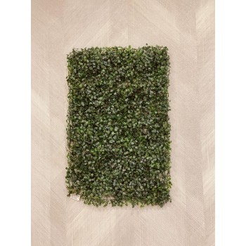 عشب صناعي تعليق علجدار 