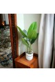  Banana decoration tree 135 cm 