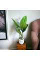  Banana decoration tree 135 cm 