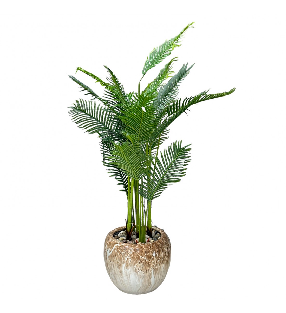 شجرة تزين نخل الاريكا مركن سيراميك بني ملون ارتفاع 2سم شجرة تزين نخل الاريكا مركن سيراميك بني ملون ارتفاع 2سم