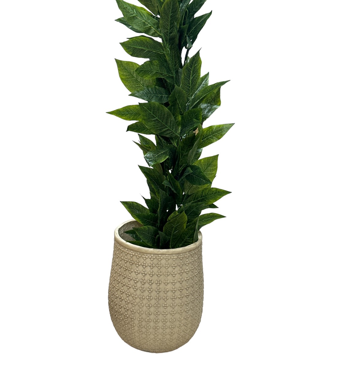      مركن فخار حجم كبير بيج 37×37×49سم 