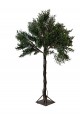 A large olive tree, 2.50 cm high