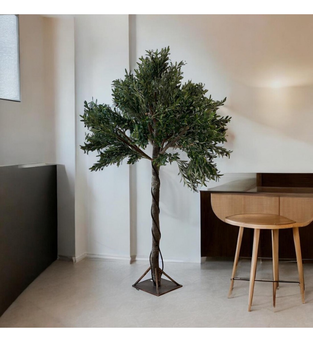 A large olive tree, 2.50 cm high