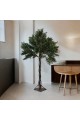 A large olive tree, 2.50 cm high