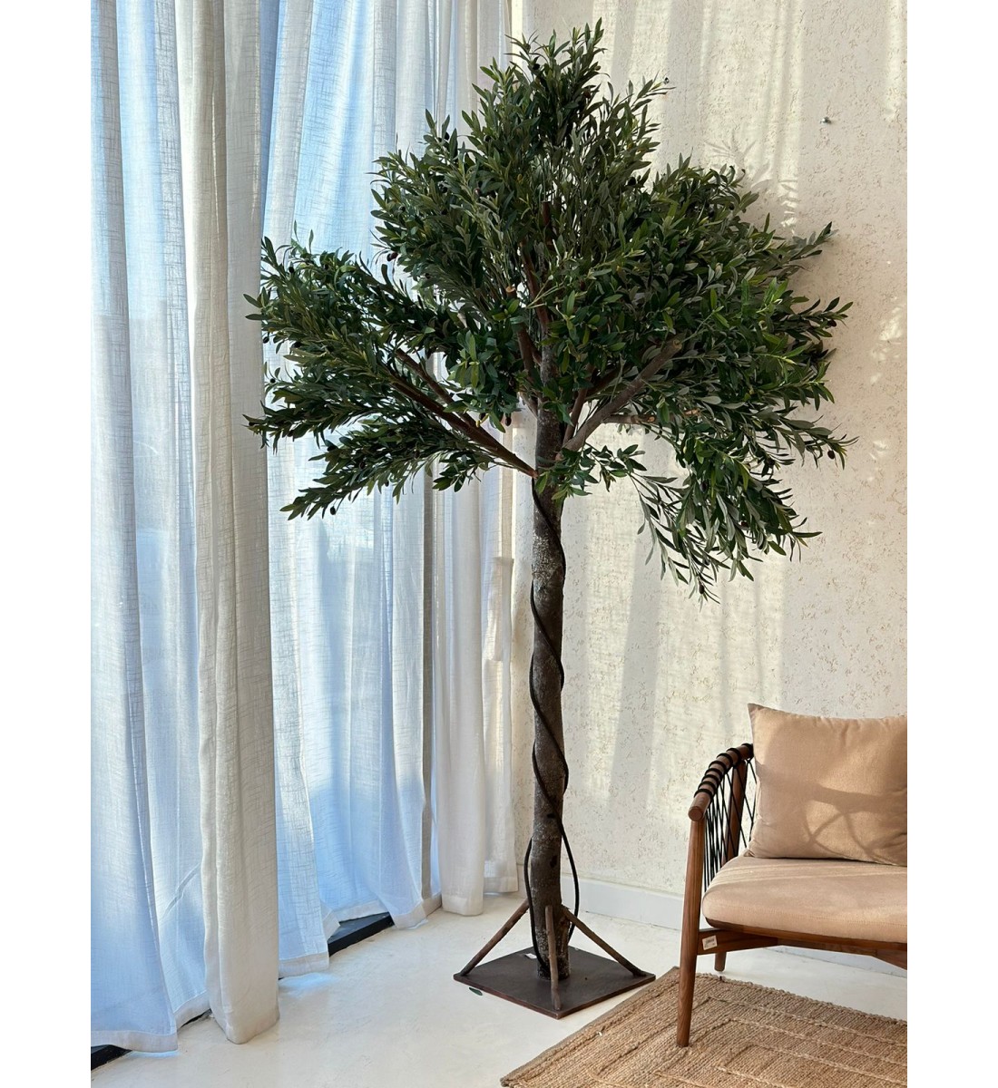 A large olive tree, 2.50 cm high