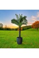 A tree decorated with palm leaves, a black stand, approximately 3 cm high
