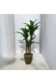 A tree decorated with 3 branches, a golden corner, 140 cm