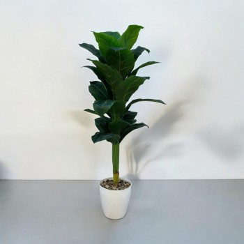  شجرة تزين موز  مركن ابيض 140سم تقريبا 