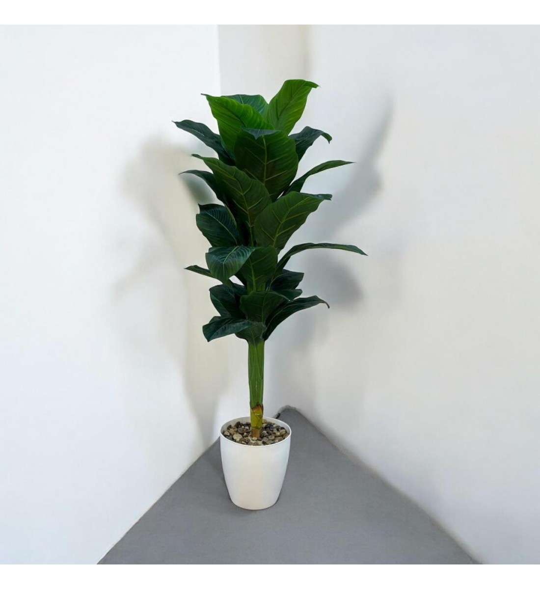  شجرة تزين موز  مركن ابيض 140سم تقريبا 