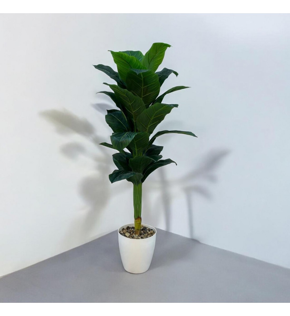  شجرة تزين موز  مركن ابيض 140سم تقريبا 