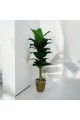 A tree decorated with a golden banana, approximately 140 cm