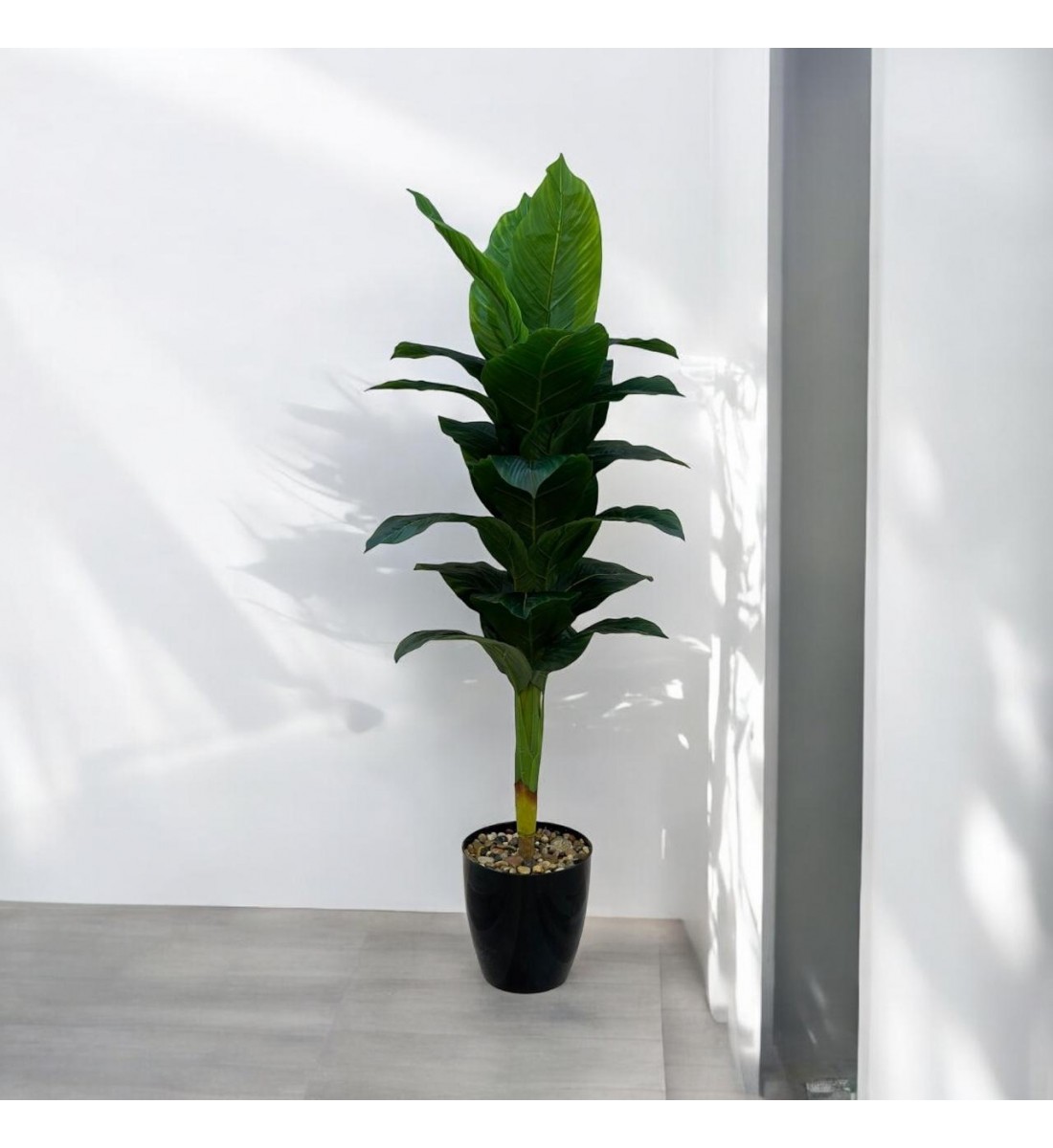A tree decorated with black parked bananas, approximately 140 cm