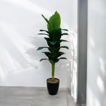  شجرة تزين موز  مركن  اسود 140سم تقريبا 