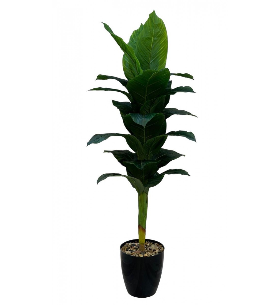 A tree decorated with black parked bananas, approximately 140 cm