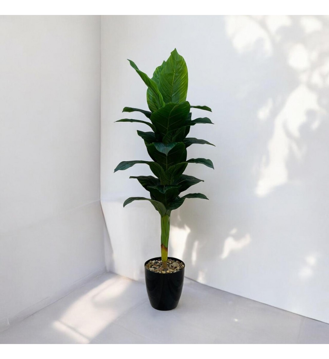 A tree decorated with black parked bananas, approximately 140 cm