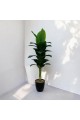 A tree decorated with black parked bananas, approximately 140 cm
