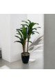 A tree decorated with 3 branches, a black corner, 140 cm