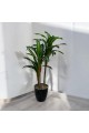 A tree decorated with 3 branches, a black corner, 140 cm