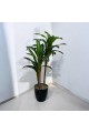A tree decorated with 3 branches, a black corner, 140 cm