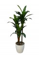 A tree decorated with 3 branches, a black corner, 140 cm
