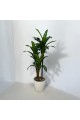 A tree decorated with 3 branches, a black corner, 140 cm