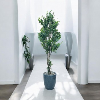  شجرة تزين اوراق الزيتون مركن سيراميك  ارتفاع 180سم تقريبا 