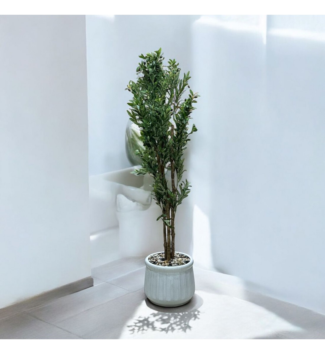 شجرة تزين اوراق الزيتون مركن سيراميك ابيض ارتفاع 2سم تقريبا شجرة تزين اوراق الزيتون مركن سيراميك ابيض ارتفاع 2سم تقريبا