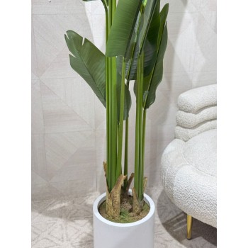    شجرة الموز متعددة الأوراق صناعي بوعاء ابيض فيبر  180 سم