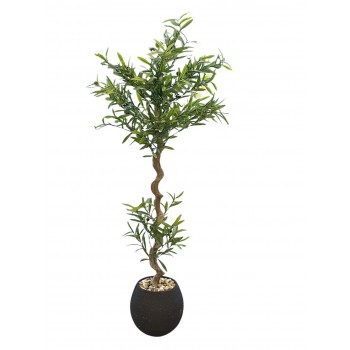  شجرة تزين اوراق الزيتون مركن سيراميك اسود  160سم 