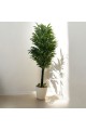 شجر اخضر بمركن بلاستيك ابيض تزيين صناعي 180سم شجر اخضر بمركن بلاستيك ابيض تزيين صناعي 180سم