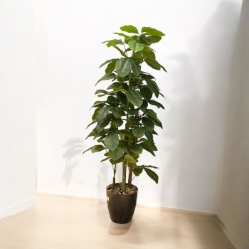 شجر اخضر 3 فروع  بمركن بلاستيك  اسود تزيين صناعي 145سم 