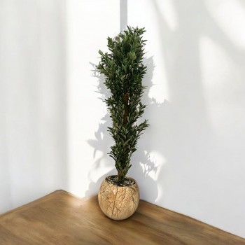  شجرة تزين اوراق الزيتون مركن سيراميك بيج 190سم 