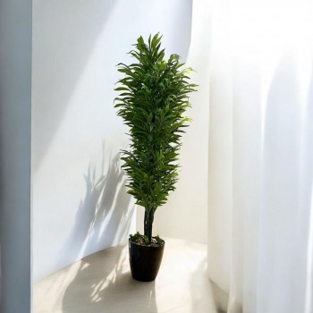 شجر بمركن اسود  تزين صناعي فينكوس  شكل حديث ارتفاع 200سم 