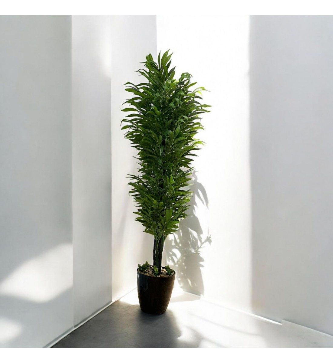 شجر بمركن اسود  تزين صناعي فينكوس  شكل حديث ارتفاع 200سم 