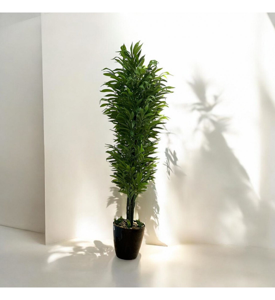 شجر بمركن اسود  تزين صناعي فينكوس  شكل حديث ارتفاع 200سم 