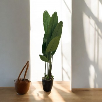  شجر صناعي موز بمركن بلاستسك اسود ارتفاع190  سم 