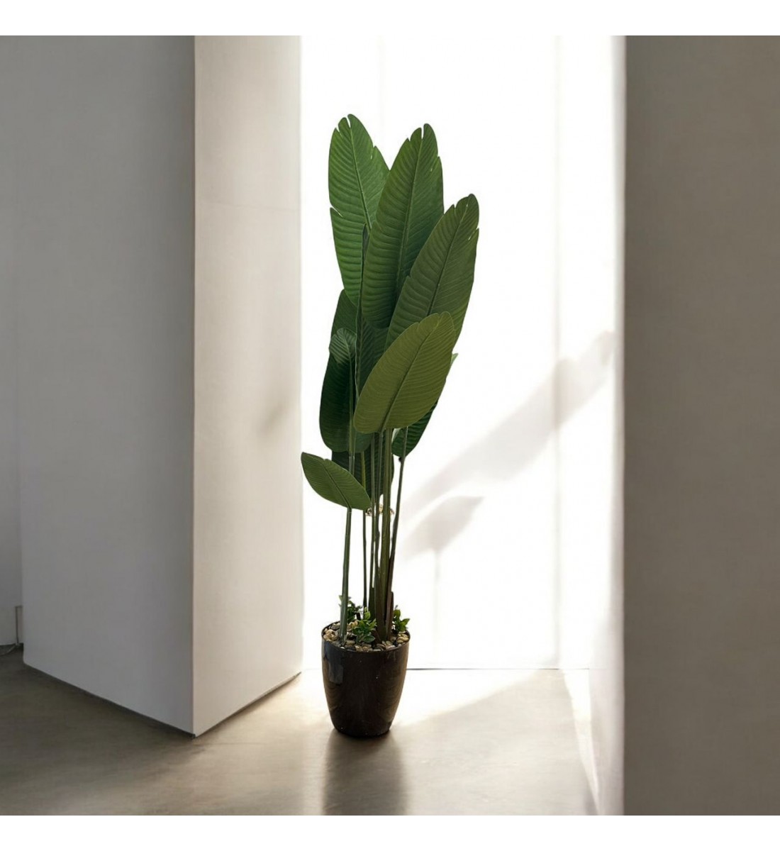 شجر صناعي موز بمركن بلاستسك اسود ارتفاع190 سم شجر صناعي موز بمركن بلاستسك اسود ارتفاع190 سم