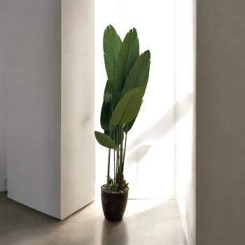  شجر صناعي موز بمركن بلاستسك اسود ارتفاع190  سم 