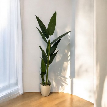  شجر صناعي موز بمركن بلاستسك ابيض ارتفاع165  سم 