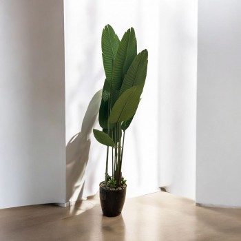  شجر صناعي موز بمركن بلاستسك اسود ارتفاع165  سم 