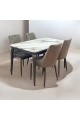 Marble Replacement Dining Table Set with 4 Chairs Brown 130x80x75cm