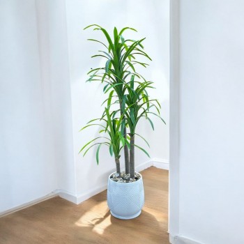 شجرة باللون الاخضر صناعية دراسينا1.90سم 