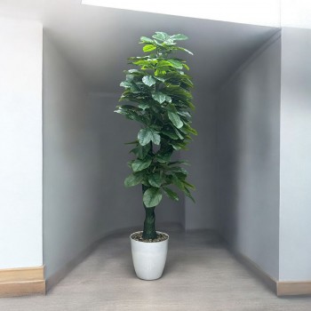 شجرة باللون الاخضر صناعية  مركن ابيض 210سم 