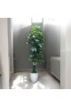 شجرة باللون الاخضر صناعية  مركن ابيض 210سم 