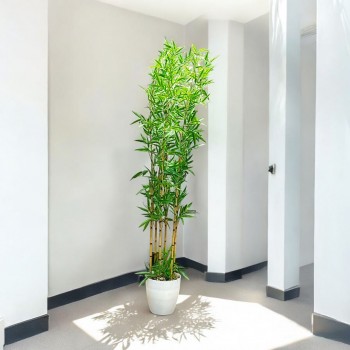 اشجار صناعية زينة ورق بامبوا  مركن ابيض ارتفاع 185 سم