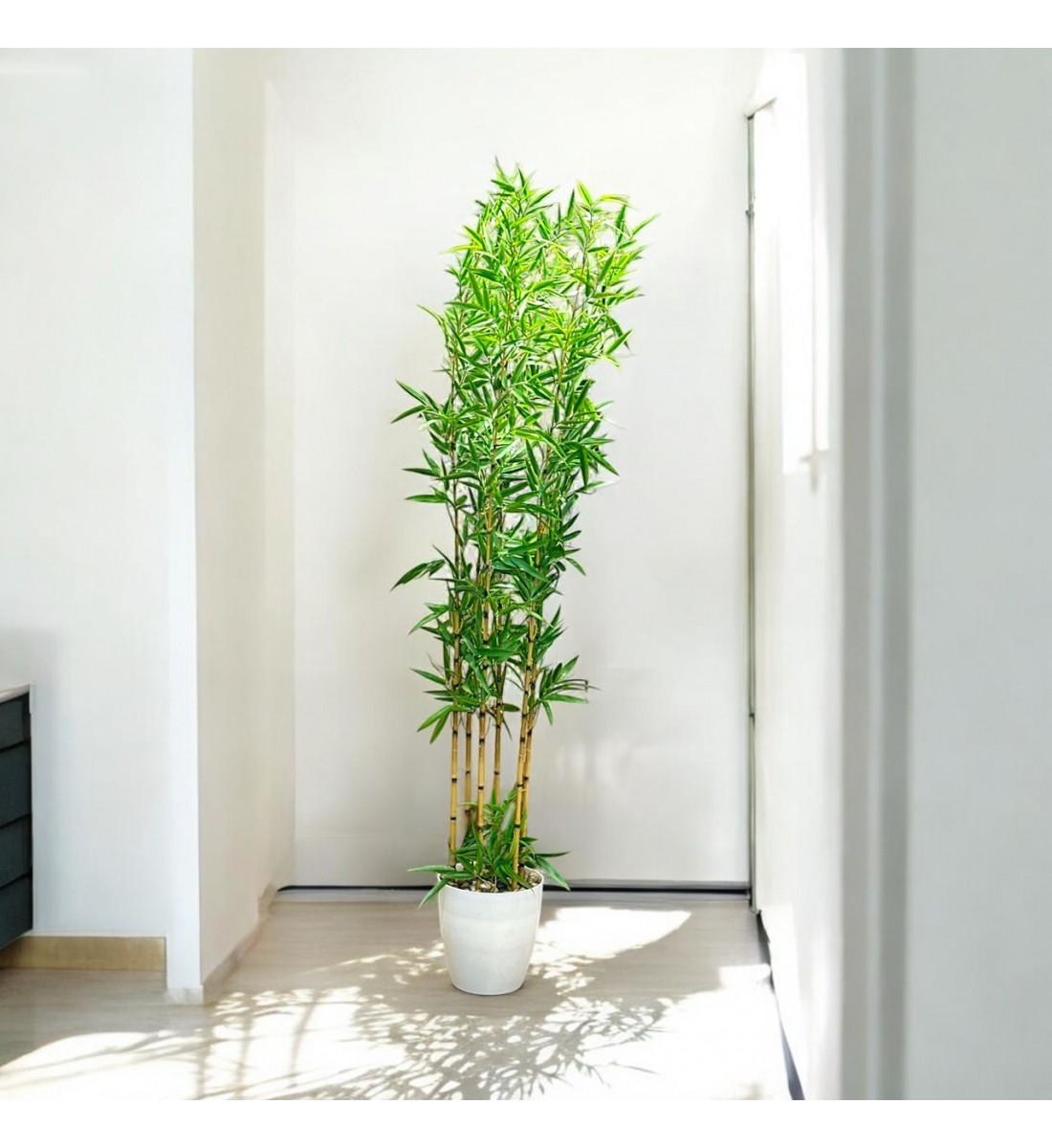 اشجار صناعية زينة ورق بامبوا مركن ابيض ارتفاع 185 سم اشجار صناعية زينة ورق بامبوا مركن ابيض ارتفاع 185 سم
